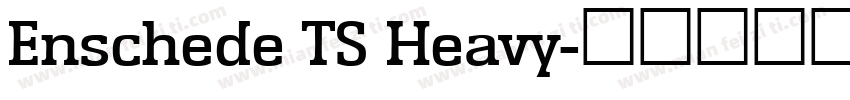 Enschede TS Heavy字体转换